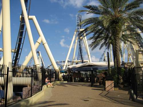 Roller Coaster Amusement Park Florida Park