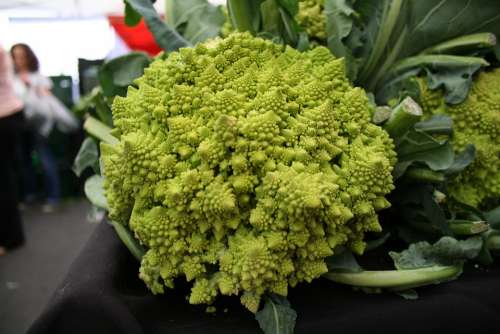 Romanesco Vegetables Farmers Market Farmer Farmers