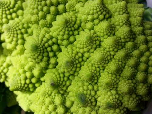 Romanesco Broccoli Cauliflower Vegetables