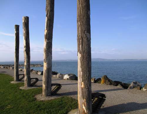 Romanshorn Attraction Timbers Natural Benches Wood