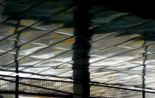 Roof Shiny Panels Rectangular Reflecting Light
