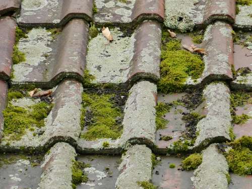 Roof Roofing Tiles Old Moss Weave