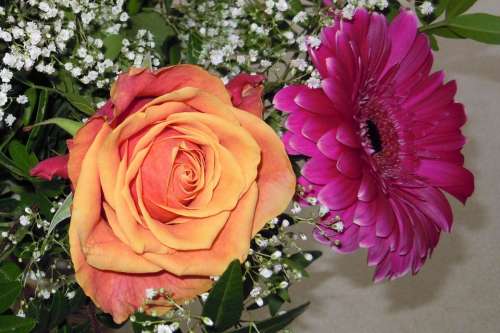 Rose Birthday Bouquet Gypsophila Gerbera Blossom
