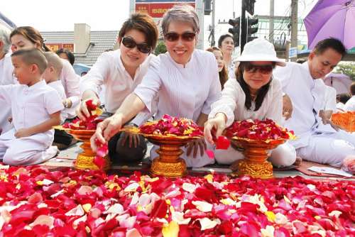 Rose Petals Thai Thailand Ceremony Buddhism Wat