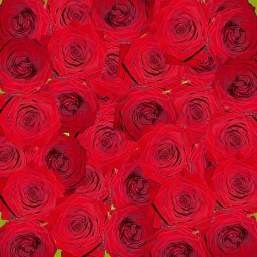 Roses Nature Flowers Red Digital Art