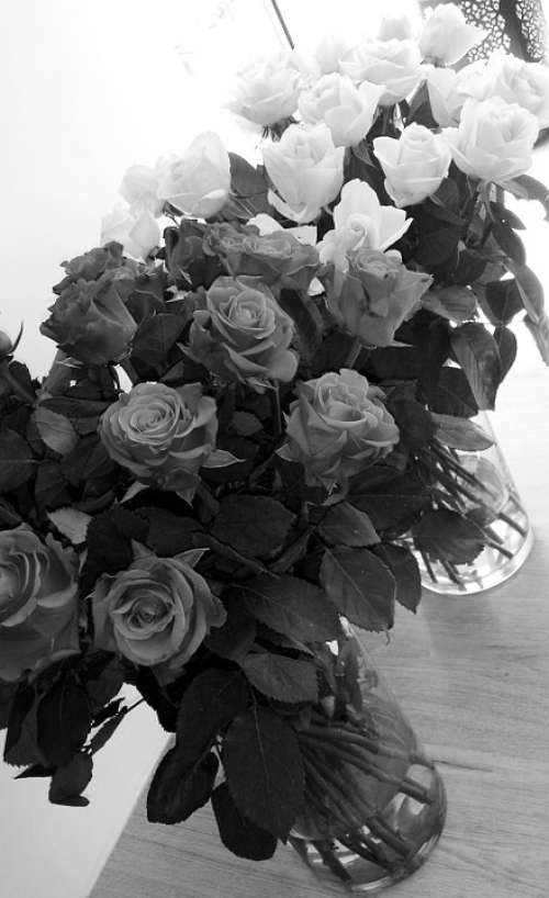 Roses Bouquet Flowers Love Floral Beautiful