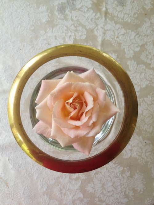 Roses Flower Pink Love Vintage Romantic Floral