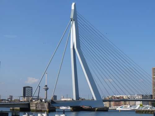 Rotterdam Metropolis Erasmus Bridge Marathon