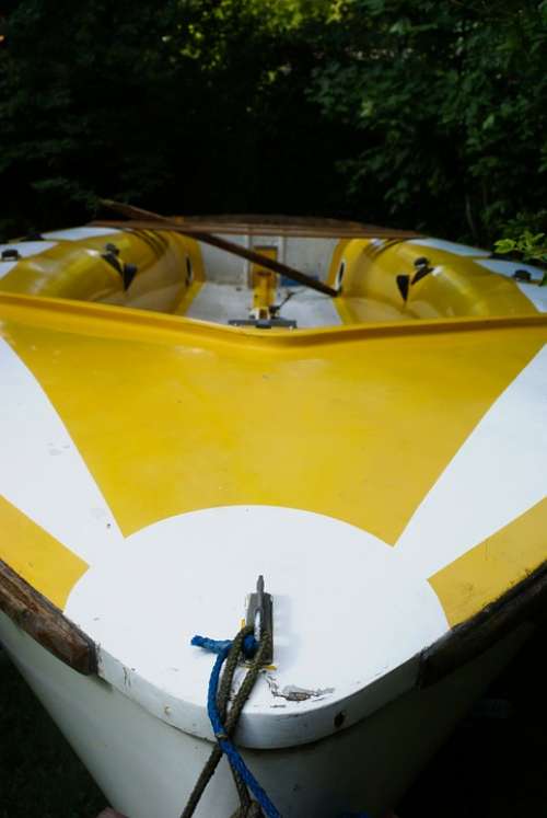 Rowing Boat Boat Yellow Boating Rowing Water Sea