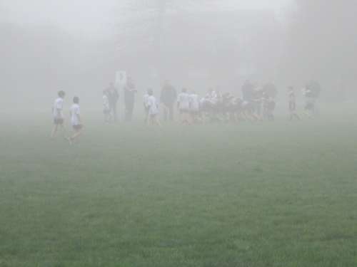 Rugby Fog Sport Playing Team Competition Play