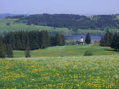 Ruins Steeple Rottachsee Elleghoehe Forest Meadow