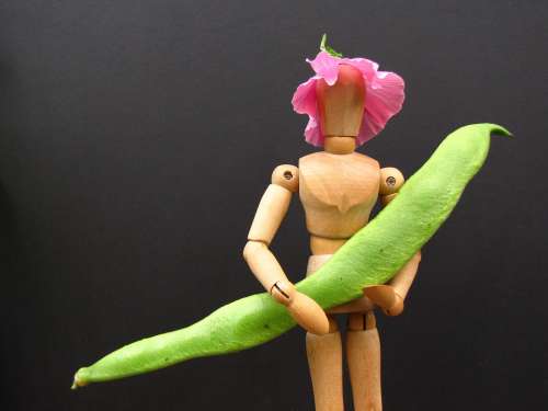 Runner Bean Mannequin Garden Gardener Hat Flower