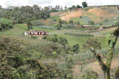 Rural Harvest Landscape