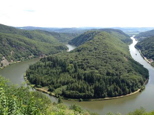 Saarland Forest Nature Trees River Saar Loop