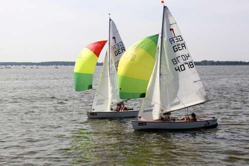 Sail Sailing Boat Spinnaker Regatta Ribnitz Ut