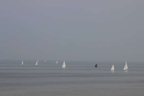 Sailboats Boats Sea Browse