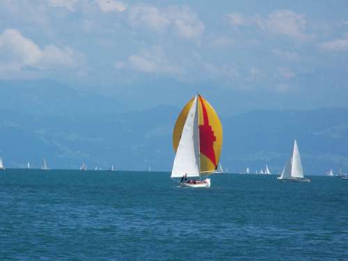 Sailing Boats Sport Water Lake Constance
