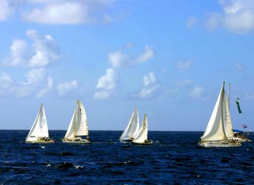 Sailing Boats Sea Ocean Sailboat Sport Nautical