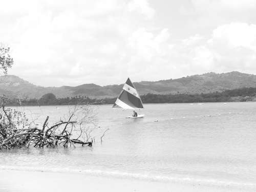 Sails Sport Sea Summer The Coast Landscapes