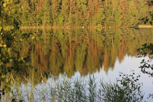Saimaa Lake Daybreak Landscape