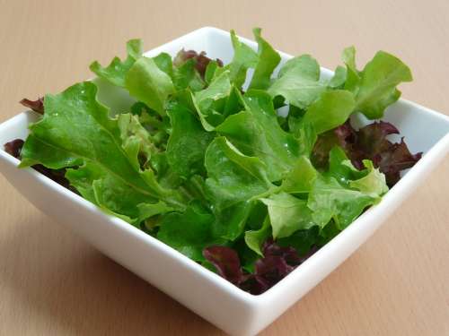 Salad Healthy Eating Green Leaf White Bowl