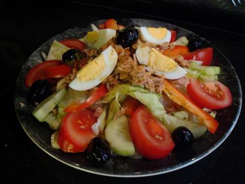 Salad Nice Tuna Fish Nutrition Food Eat Plate