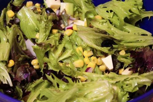 Salad Fresh Rocket Healthy Green Vitamins