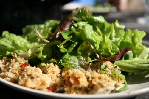 Salad Salad Plate Eat Meal Dumpling