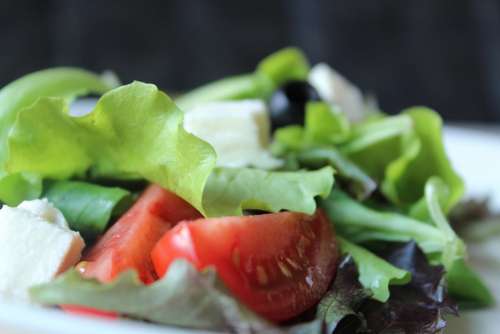Salad Tomatoes Healthy Fresh Eat Food Meal