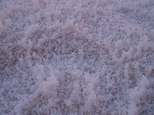 Salt Salt Crust Salt Lake Dry Desert Crystals