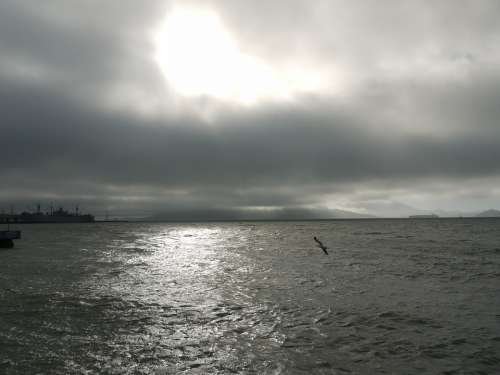 San Francisco Sea Ocean California Seagull Clouds
