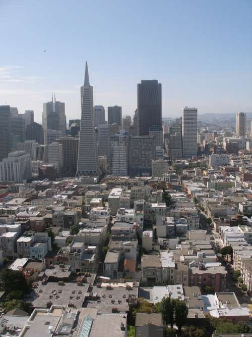 San Francisco Coit Tower Transamerica Tower