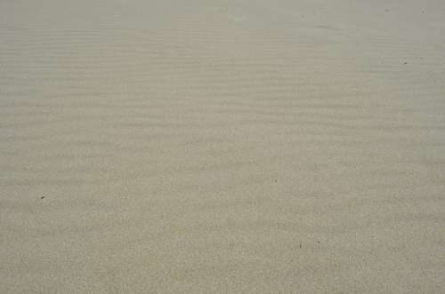 Sand Waves Wind