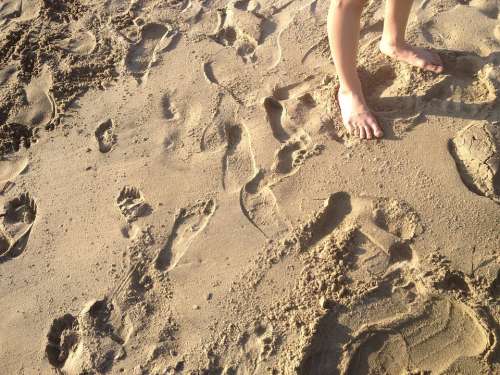 Sand Footprints Feet Beach Toes Foot Legs
