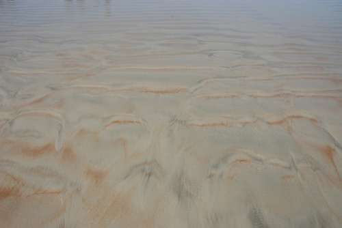 Sand Texture Abstract Beach Wet Shore