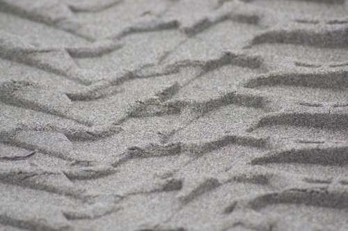 Sand Tire Prints Car Beach Beaches