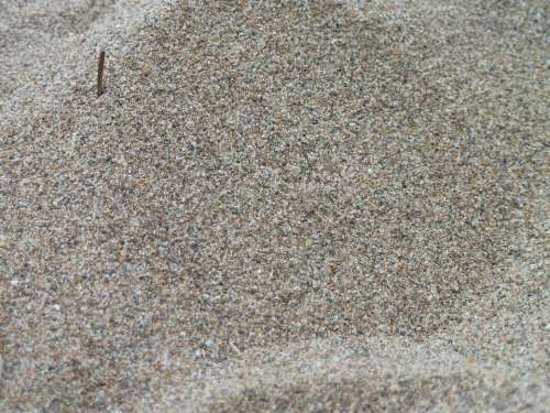 Sand Beach Texture