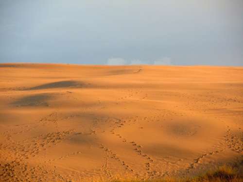 Sand Dune Dunes Desert Traces Sunset Sunlight
