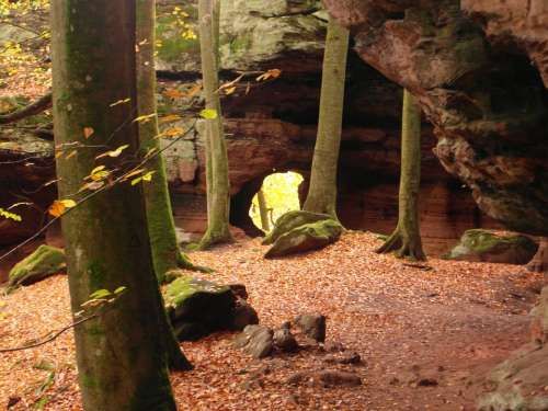 Sandstone Sand Stone Forest Autumn Emerge View