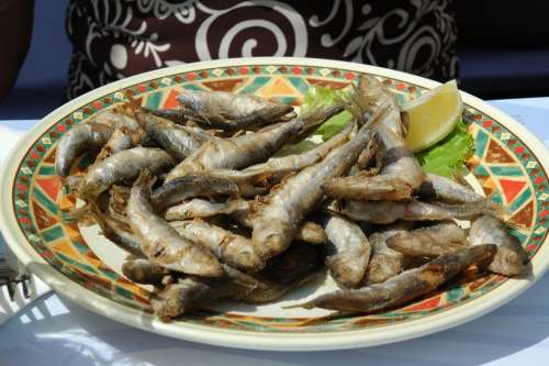 Sardines Eat Fish Dine Cook Benefit From Food