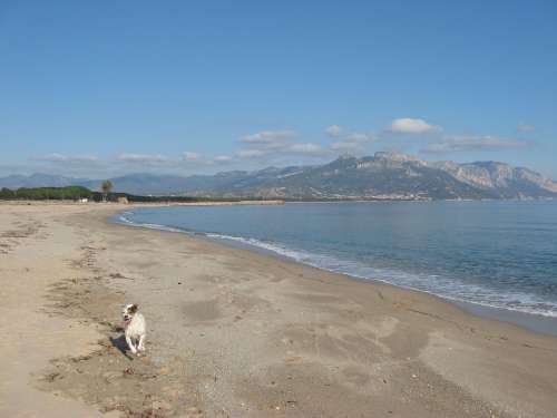 Sardinia Sea Beach