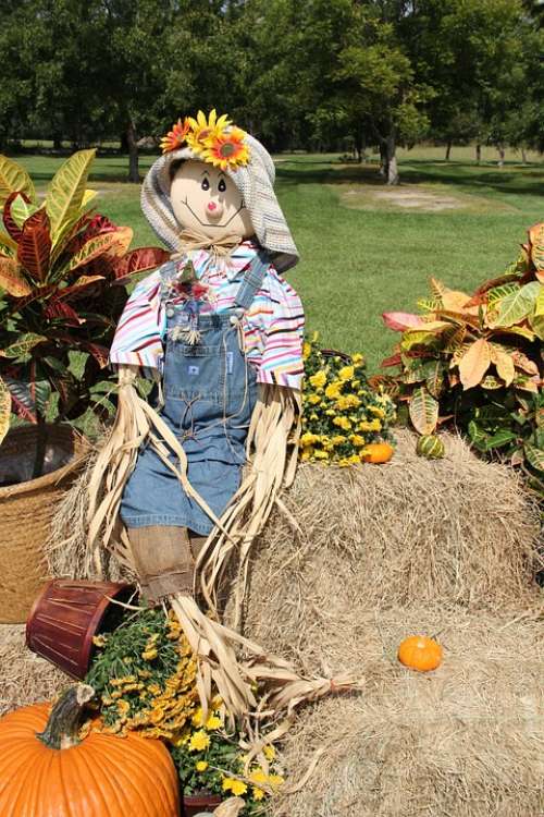 Scarecrow Pumpkins Gourds Fall Halloween