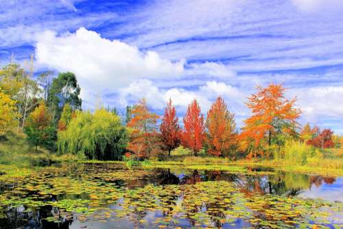 Scenic Landscape Autumn Lake Sky Nelson