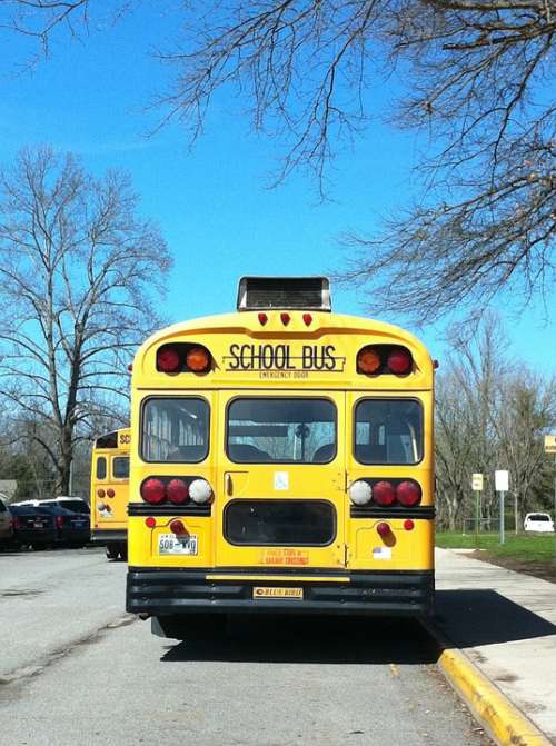 School School Bus Bus Transportation Yellow