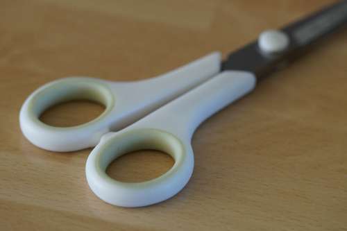 Scissors Handle Kitchen Scissors Craft Scissors Cut
