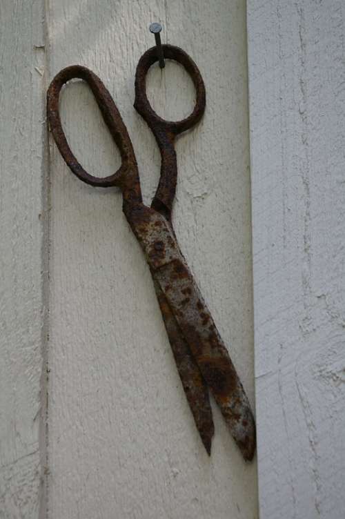Scissors Rust Rusted Old