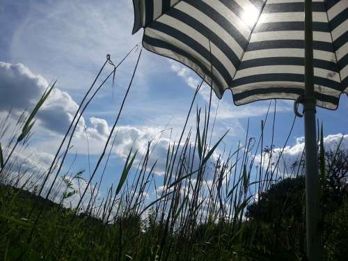 Screen Stripes Sky Blue Summer Clouds Grass