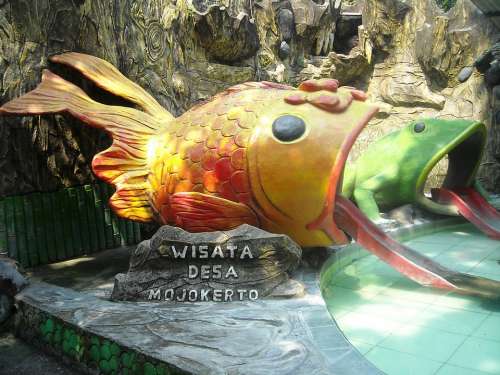 Sculpture Gold Fish Frog Ijo Outdoor Swimming Tour