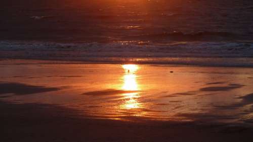 Sea North Sea Beach Water Sunset Abendstimmung