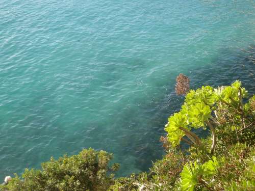 Sea Coast Mediterranean Water Mood Turquoise